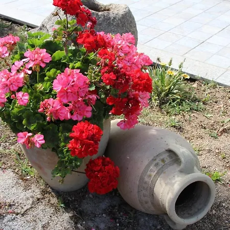 Casale Ortensie